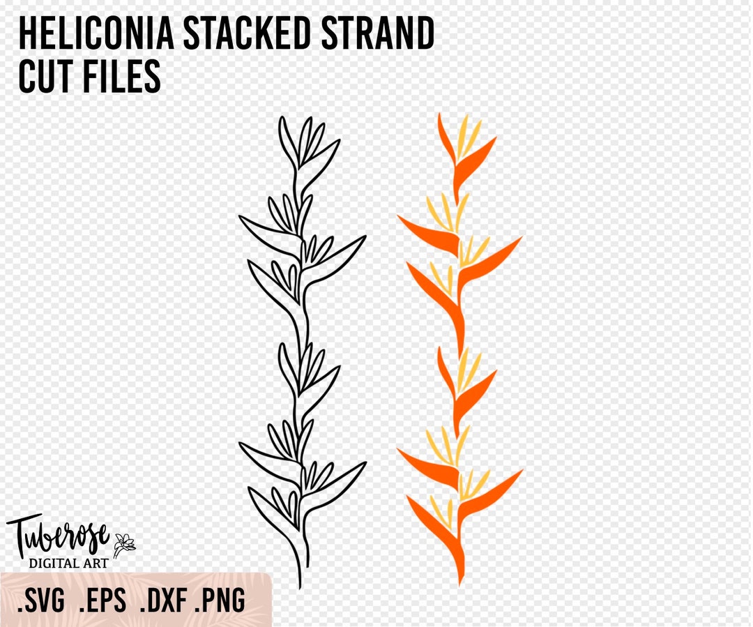 Heliconia Strand SVG, False Bird of Paradise Stacked Strand SVG ...
