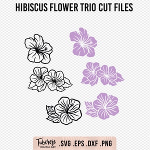 Hibiscus bloem SVGs, Geïllustreerde Hibiscus lijntekeningen en solide Floral Cricut bestanden, Bloem sticker sticker en clipart, zomer bloemen