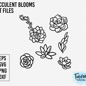 Suculentas blooms SVG archivos cortados, Echeveria con flor svg, pastel suculento arte PNG pegatinas digitales, una variedad de archivos de cactus cricut, hierro en