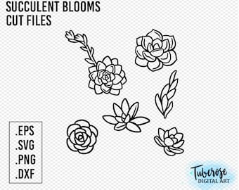 May include: A set of six black and white line drawings of succulent plants. The drawings are simple and elegant, and they would be perfect for use in a variety of crafting projects. The text "Succulent Blooms Cut Files" is at the top of the image. The text ".EPS .SVG .PNG .DXF" is in the lower left corner of the image. The text "Tuberosa Digital Art" is in the lower right corner of the image.