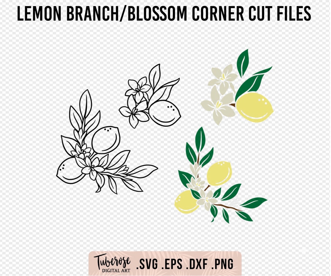 Lemon Branch & Blossom Corner SVG Laser File, Lemon Flower Illustration ...