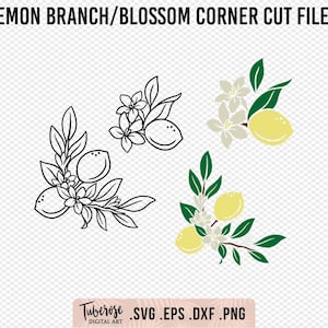 Branche de citron et coin en fleurs Fichier laser SVG, conception d'illustration de fleur de citron, gravure d'angle de planche à découper de fruits d'été, clipart citron