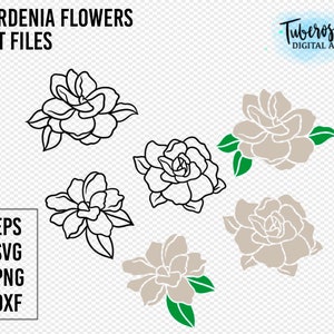 クチナシの花のSVG PNGカットファイル、クチナシの花のイラスト、クリカットとシルエット、花のデザイン、花のラインアート、アイロンで貼るステッカー