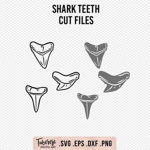 Shark Tooth SVG, Great White Shark Teeth cut files Bull Shark Tiger Shark Tooth Vector and hi res PNG for stickers, iron on digital stickers