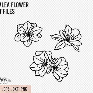 Azalea flower SVG PNG cut files, Rhododendron floral Illustrations, Spring flower Line Art svg Pretty Floral cup decal Cricut files