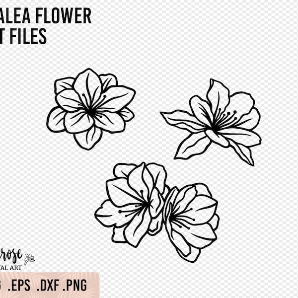 Azalea flower SVG PNG cut files, Rhododendron floral Illustrations, Spring flower Line Art svg Pretty Floral cup decal Cricut files