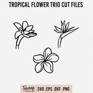 Tropische bloemencollectie SVG's, geïllustreerde Plumeria, tuberoos en paradijsvogel lijntekeningen en solide stickerbestanden, bloemenillustraties, png