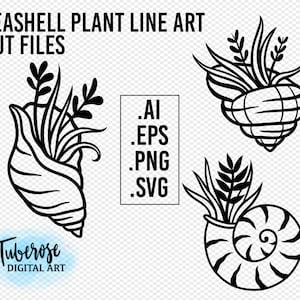 Seashell Plant Line Art SVG PNG cut files, air plant shell Illustrations Cricut and Silhouette plant designs tattoo style Sticker Iron On