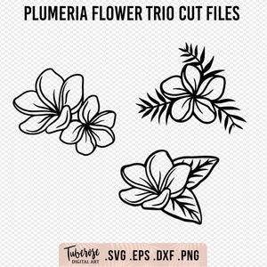 Plumeria bloem SVGs, geïllustreerde Plumeria Frangipani lijntekeningen, Floral Cricut bestanden, bloem sticker sticker en clipart, Plumeria ontwerp