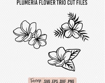 Plumeria flower SVGs, Illustrated Plumeria Frangipani line art, Floral Cricut files, Flower sticker decal and clipart, Plumeria design