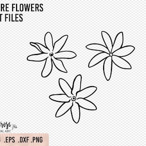 Arquivos de corte PNG SVG de flores de tiaré, ilustrações florais de gardênia taitiana, design de flores Cricut e Silhouette, arte de linha havaiana, adesivo de ferro