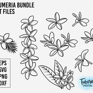 プルメリア SVG バンドル、さまざまな花のスタイル、PNG カット ファイル、フランジパニの花のイラスト クリップ アート、Cricut ファイル デザイン ハワイアン ライン アート