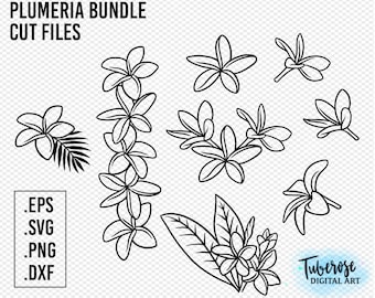 Plumeria SVG Bundle, assorted flower styles, PNG cut files, Frangipani floral Illustrations Clip art, Cricut file designs Hawaiian line art