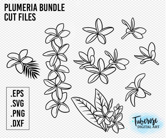 Plumeria Wall Stencil