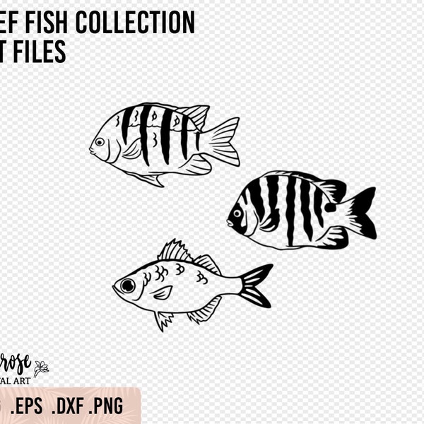 Reef fish SVG collection, Kupipi blackspot, Mamo Sergeant, and Aholehole Fish illustrated line art, Ocean Hawaiian reef fish sticker design
