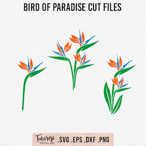Könnte beinhalten: Das Bild zeigt drei stilisierte Designs von Paradiesvogelblumen in Orange, Blau und Grün, mit dem Text "BIRD OF PARADISE CUT FILES" darüber. Darunter werden der Text "Tuberose Digital Art" und die Dateierweiterungen .SVG .EPS .DXF .PNG angezeigt.