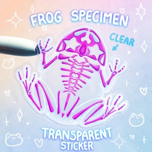 May include: A transparent sticker of a frog skeleton with pink bones. The sticker says "FROG SPECIMEN" and "TRANSPARENT STICKER" in white text. The sticker is on a light blue background with white hearts and stars.