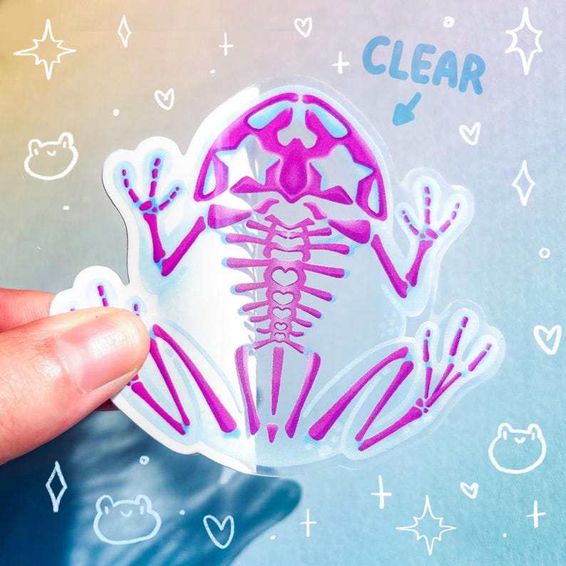Frog Specimen Transparent Clear Glossy Waterproof Sticker Diaphonized