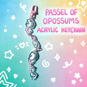 May include: An acrylic keychain featuring a series of cartoon opossums. The keychain has a pink clasp and chain, with the words "PASSEL OF OPOSSUMS ACRYLIC KEYCHAIN" in pink text. The background is a gradient of blue, pink, and yellow.