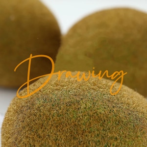 May include: Three brown fuzzy balls with the word "Drawing" written in orange across the middle ball.