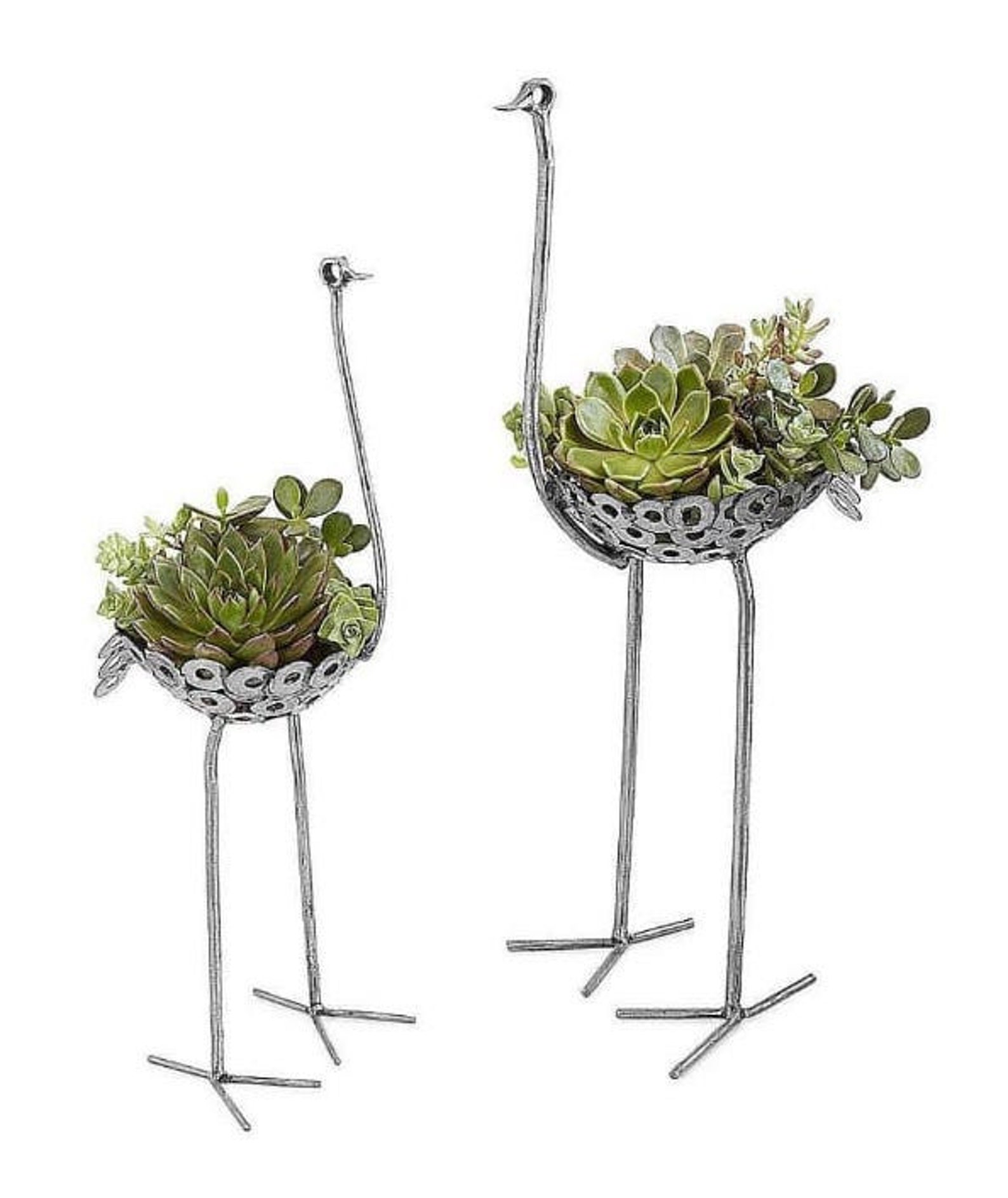 Wrought Iron Decorative Flower Bed Peacock Flower Bed Etsy UK