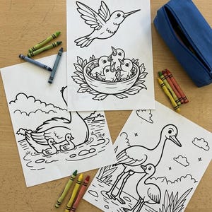 May include: Three coloring pages with bird illustrations and a blue pencil case are arranged on a wooden surface. Crayons in various colors are scattered around the pages. The bird illustrations include a hummingbird, baby birds in a nest, ducks, and a heron.