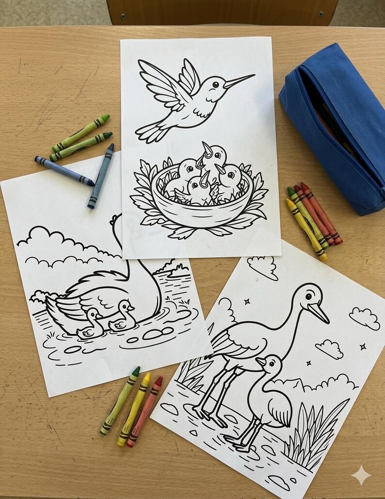 May include: Three coloring pages with bird illustrations and a blue pencil case are arranged on a wooden surface. Crayons in various colors are scattered around the pages. The bird illustrations include a hummingbird, baby birds in a nest, ducks, and a heron.