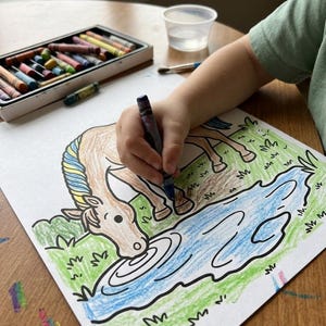 Peut inclure: Une feuille de papier blanche avec un dessin partiellement colori&eacute; repr&eacute;sentant un cheval brun clair buvant dans une mare bleue. Le cheval a une crini&egrave;re multicolore et est entour&eacute; d'herbe verte. Un crayon bleu fonc&eacute; est tenu au-dessus.