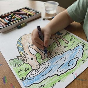 Puede incluir: Un ni&ntilde;o colorea una ilustraci&oacute;n de un caballo con un cray&oacute;n azul. El caballo es marr&oacute;n con una melena azul y amarilla, bebiendo de un estanque con l&iacute;neas azules. Una bandeja de crayones y un vaso de agua est&aacute;n sobre la mesa de madera.