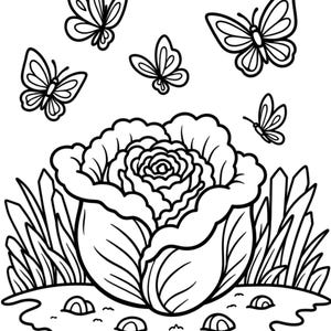 May include: Black and white line art illustration of a cabbage with butterflies. The cabbage is in the center, surrounded by grass and small rocks. Five butterflies are scattered around the cabbage.