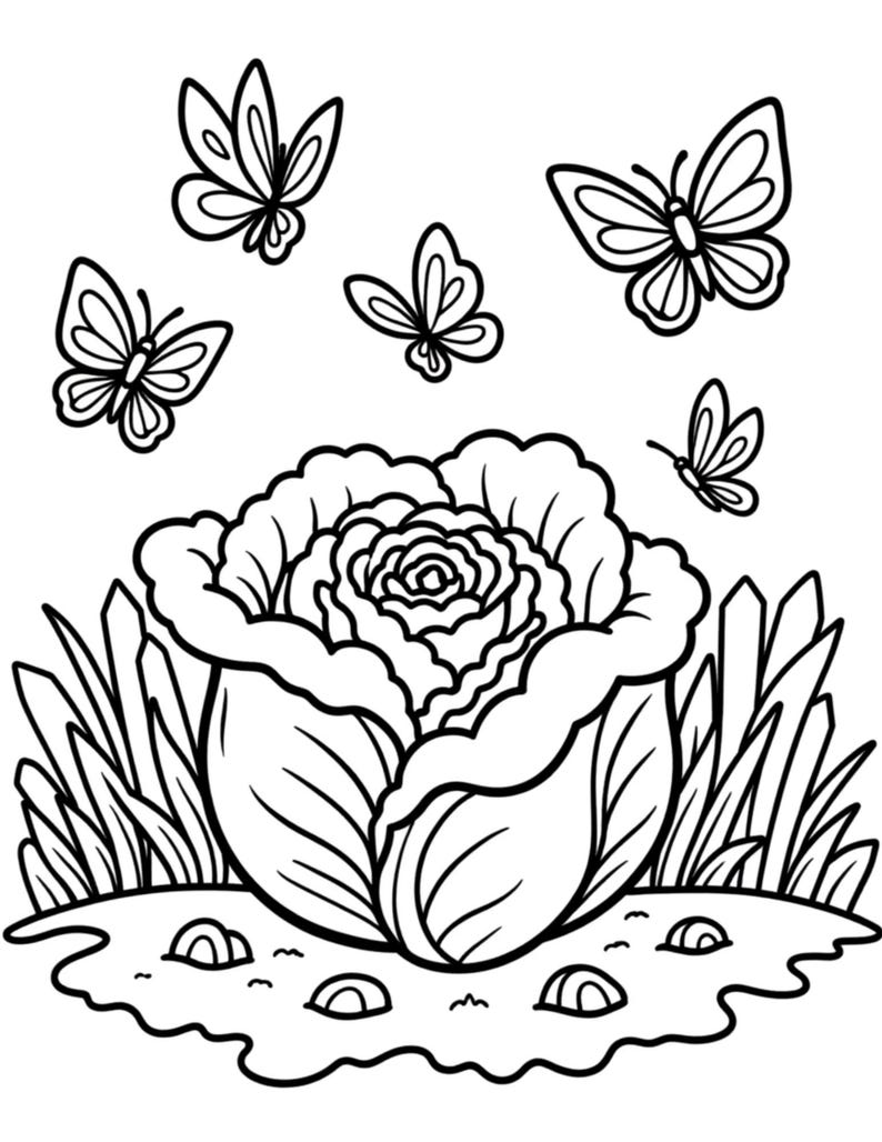 May include: Black and white line art illustration of a cabbage with butterflies. The cabbage is in the center, surrounded by grass and small rocks. Five butterflies are scattered around the cabbage.