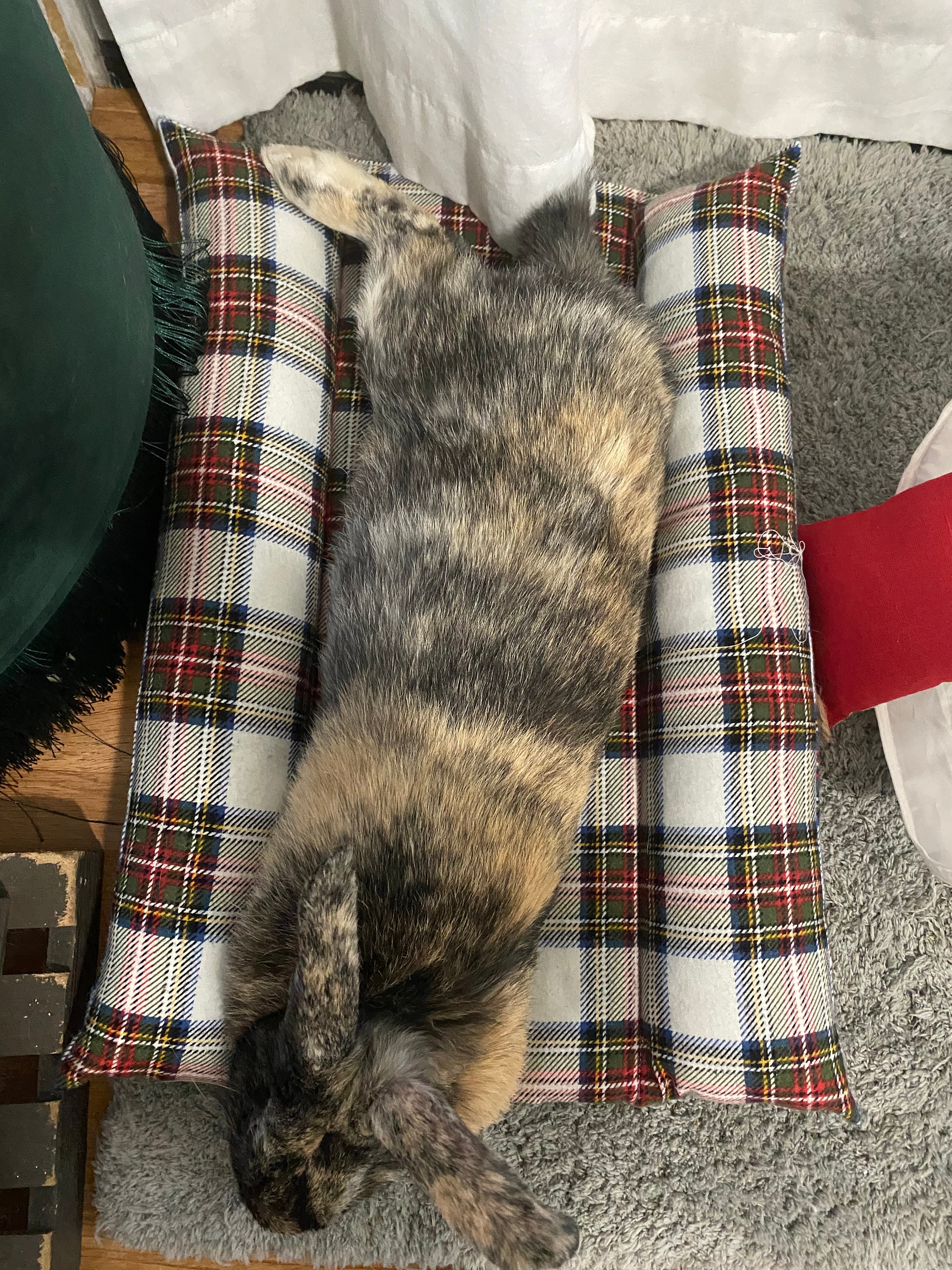 Flanell Hase Kaninchen Lounging Bett | Etsy