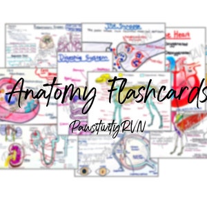Digital Veterinary Anatomy Flashcards voor student veterinaire verpleegkundigen