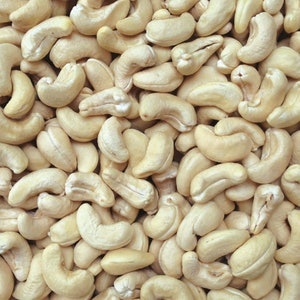 CASHEWS Raw Fresh Bulk Organic Premium Whole Jumbo Cashew Kernels From Holy Land