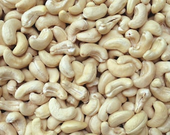 NOIX DE CAJOU RAW Fresh Bulk Organic Premium Grains de noix de cajou jumbo entiers de Terre Sainte