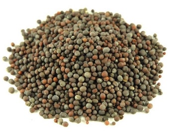 Semillas de mostaza negra / marrón de alta calidad 100% orgánica de Tierra Santa Mostaza pura fresca palestina