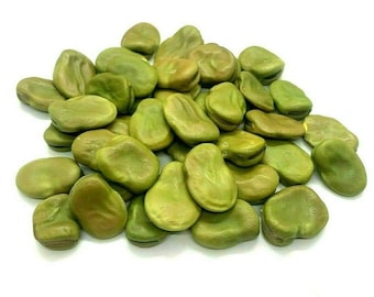 Semillas de habas verdes para siembra de primavera, orgánicas, integrales, palestinas