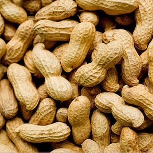 Roasted Peanuts | salted Whole High Quality Organic 100% Healthy Nuts Fresh Pure