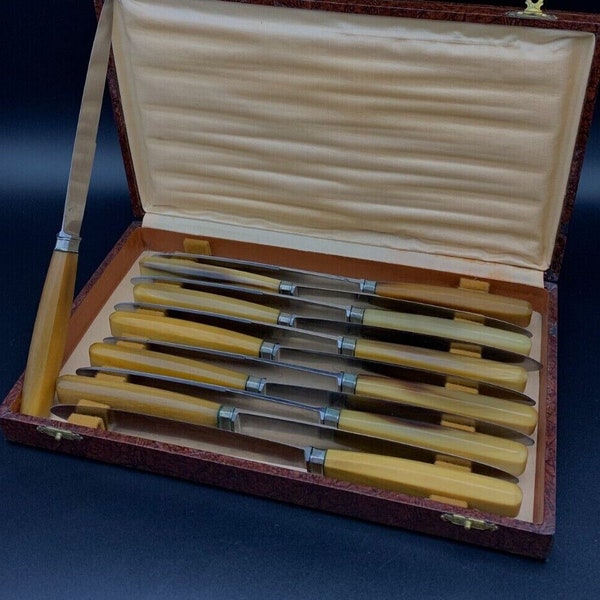 Ensemble de couteaux de table en corne vintage Ancienne boîte de 12 couteaux, couteaux en acier inoxydable marqués