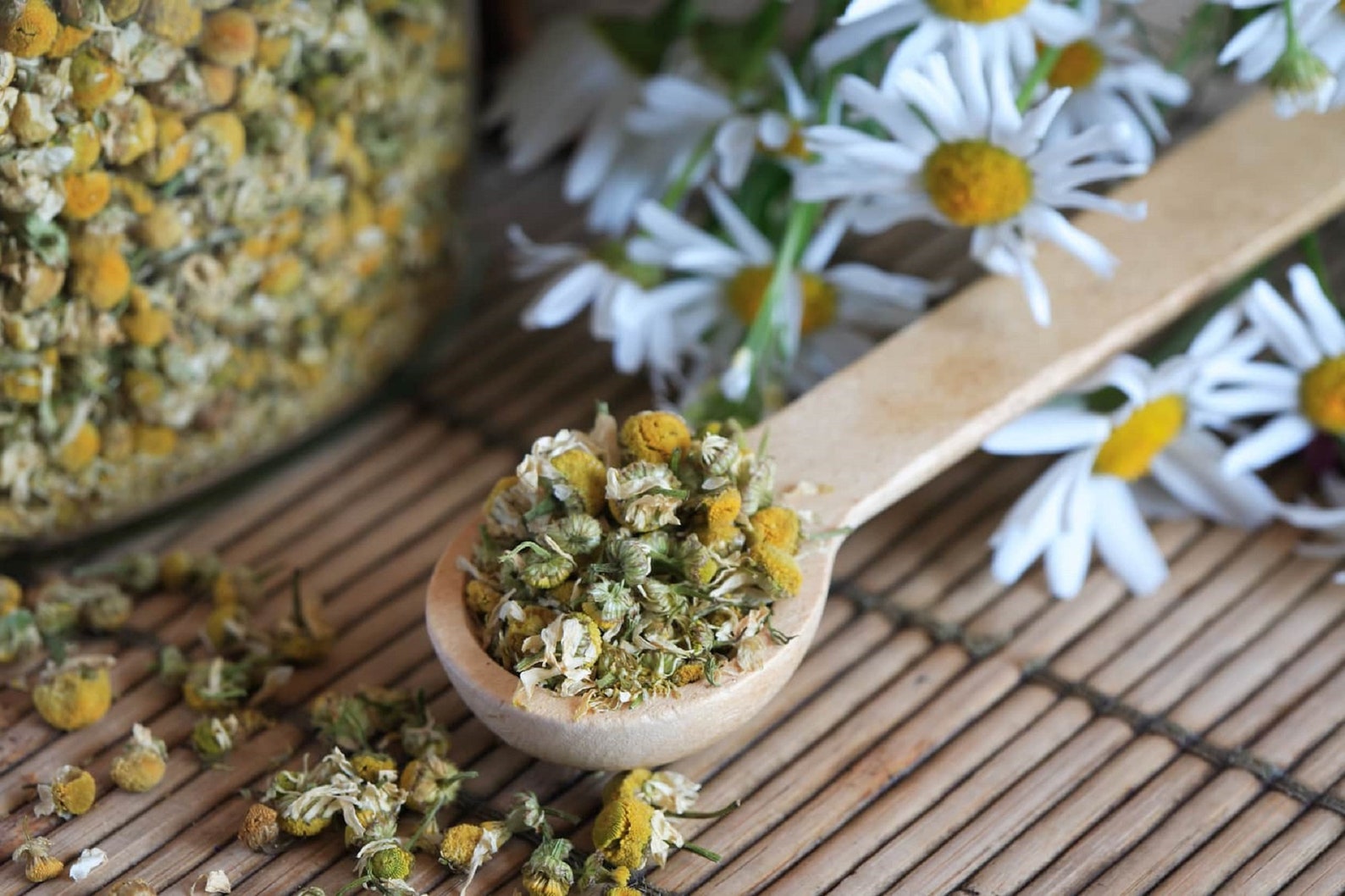Natural Chamomile Flower Dried Whole German Chamomile Flowers 1st From