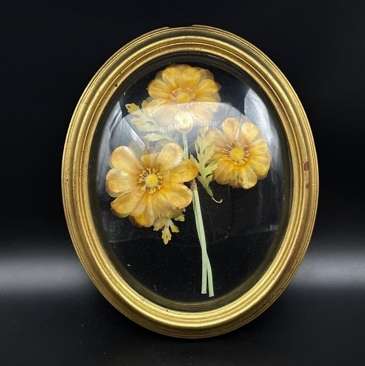 Antique French Oval Frame Curved Glass Golden Frame Wax Etsy