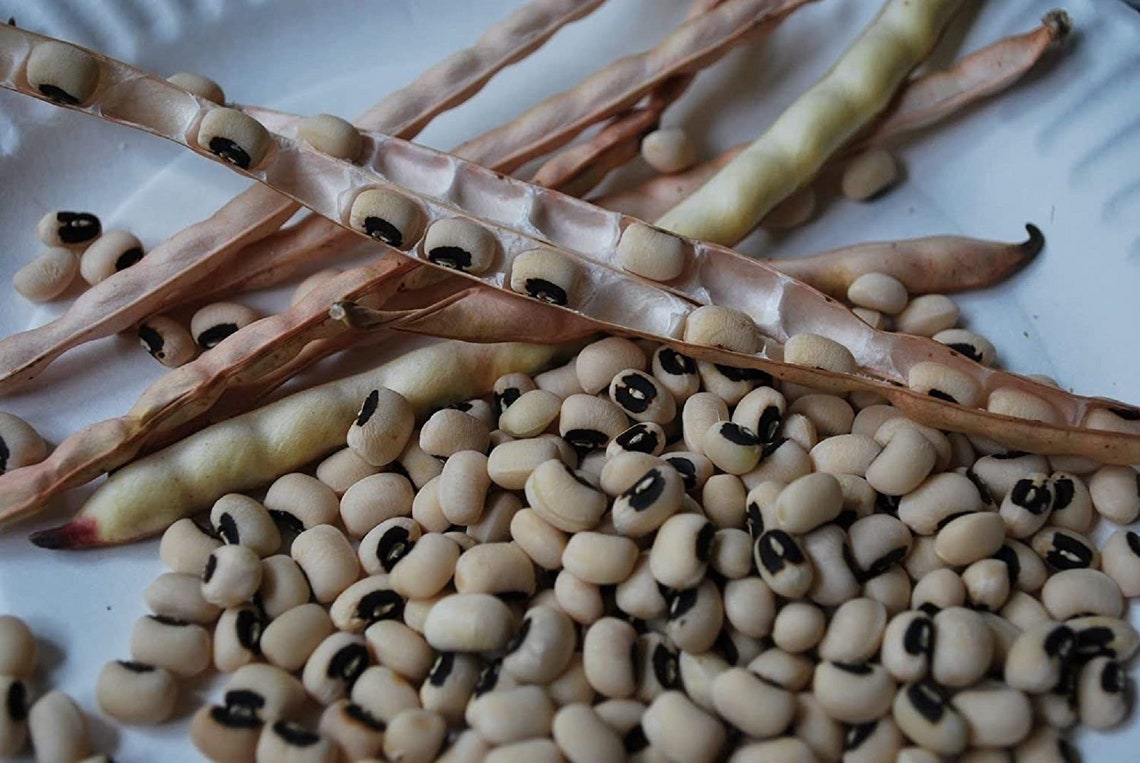 Black Eye White Beans With Black Eye Eyed Cowpea Vegetable Legume Seeds Organic Etsy