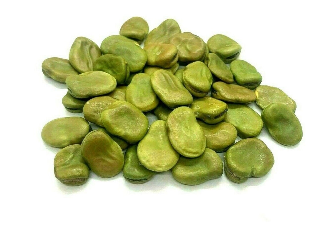 Green Fava Beans Broad Bean Spring Planting Seeds Organic Whole