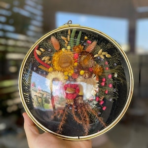 Vintage Belgium Cide Art Wall Art Dried Flowers Convex Domed Glass Frame 1950s