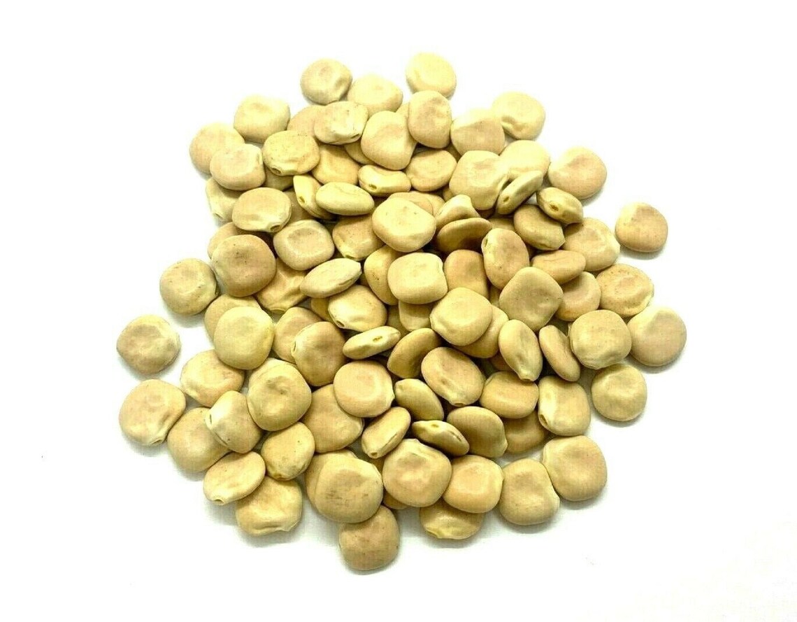 White Lupinus Lupine Beans Alba Seeds Dried Lupini Free Shipping