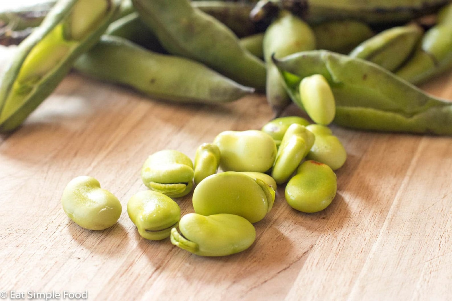 Green Fava Beans Broad Bean Spring Planting Seeds Organic Whole