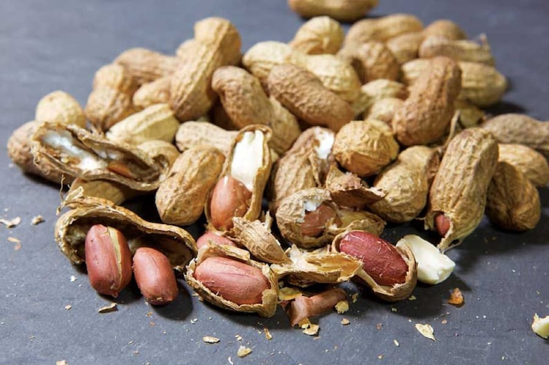 Peut inclure: Gros plan sur un tas de cacahu&egrave;tes dans leurs coquilles. Certaines cacahu&egrave;tes sont cass&eacute;es, r&eacute;v&eacute;lant la cacahu&egrave;te rouge-brun &agrave; l'int&eacute;rieur.