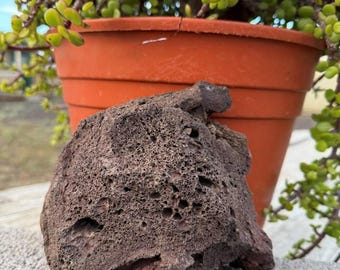 May include: A dark brown, porous volcanic rock with a rough, uneven surface texture. The rock features numerous small holes and crevices throughout its structure, displaying a natural, jagged shape and a dense, earthy appearance.