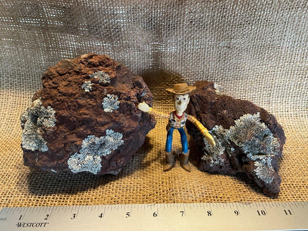 Two Large, Red Lava Rocks, Perfect for Aquariums, Terrariums ...