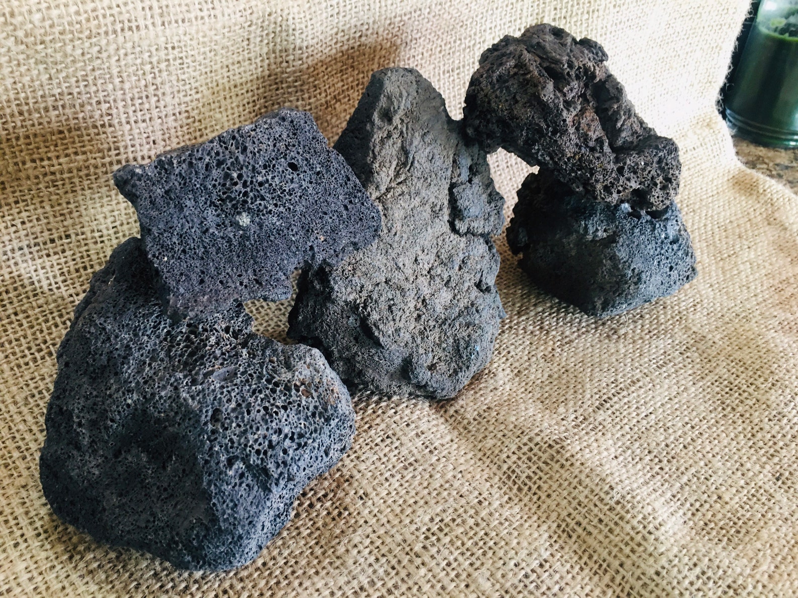 5 Large Lava Rocks Perfect for Aquariums Terrariums Etsy